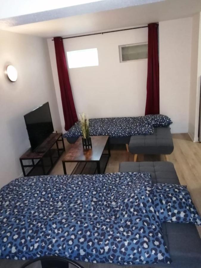 Appatement T3 Meuble A Neuf Appartement Poitiers Buitenkant foto